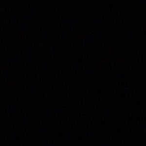 Meet your Posher, Lizzy